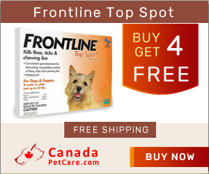 Frontline Top Spot for dogs is a topical treatment for fleas, ticks and chewing lice found in puppies and dogs. Shop Now to Get 4 Doses Free with 4 Months Pack of Frontline Top Spot for Dogs on CanadaPetCare.com + Free Shipping on all orders across USA.