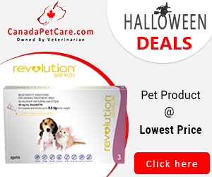 Frankenstein Woke Up From the Dead for This 12% Extra Off Deal + Free Shipping on All Orders! Use Coupon Code: PBCANHAL12 to avail discount now at CanadaPetCare.com