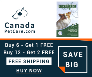 Advantage is a monthly topical treatment for killing and controlling fleas. Buy Now to Get Extra 10% Discount and Free Shipping on All Orders Across USA. Also Avail Free Doses of Advantage with Every Pack.