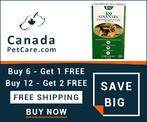 K9 Advantix is a monthly used topical treatment for controlling and treating various parasites including fleas, ticks, chewing lice, biting insects, flies and mosquitoes. Buy Now to Get Extra 10% Discount and Free Shipping on All Orders Across USA.