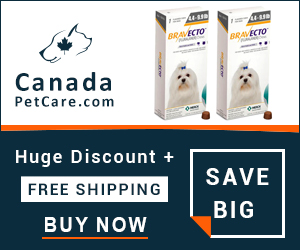 Bravecto is a more potent flea and tick treatment that works 12 full weeks to protect dogs just in a single dose. Buy Now to Get Extra 10% Discount and Free Shipping on All Orders Across USA.