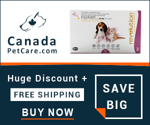 Revolution is an effective heartworm preventive solution and kills fleas and ear mites in pets. Buy Now to Get Extra 10% Discount and Free Shipping on All Orders Across USA.