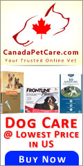 For everything you need for your dog, Canada Pet Care is a one-stop shop online for your dog supplies. Buy dog products at unbelievable great discounts with free shipping and fast delivery at Canada Pet Care.