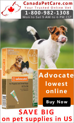 Advocate is an effective flea, heartworm and worm treatment for dogs. The broad spectrum spot-on solution works for one full month with no side effects. For best prices shop Advocate @CanadaPetCare.