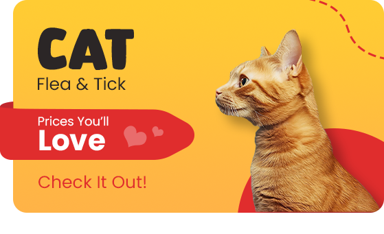 Flea and Tick