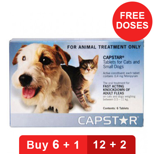 capstar for nursing cats