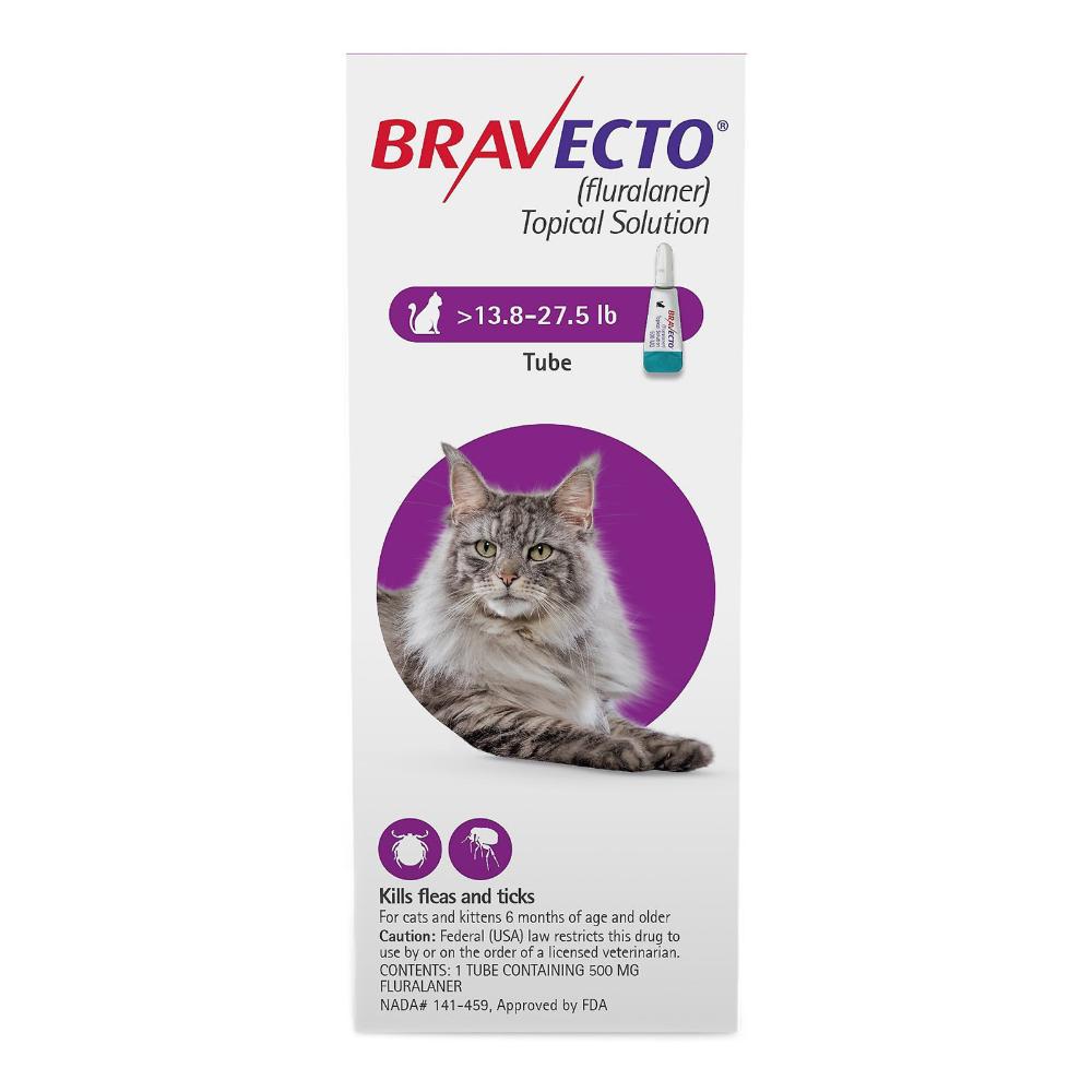 Bravecto flea 2025 treatment for cats