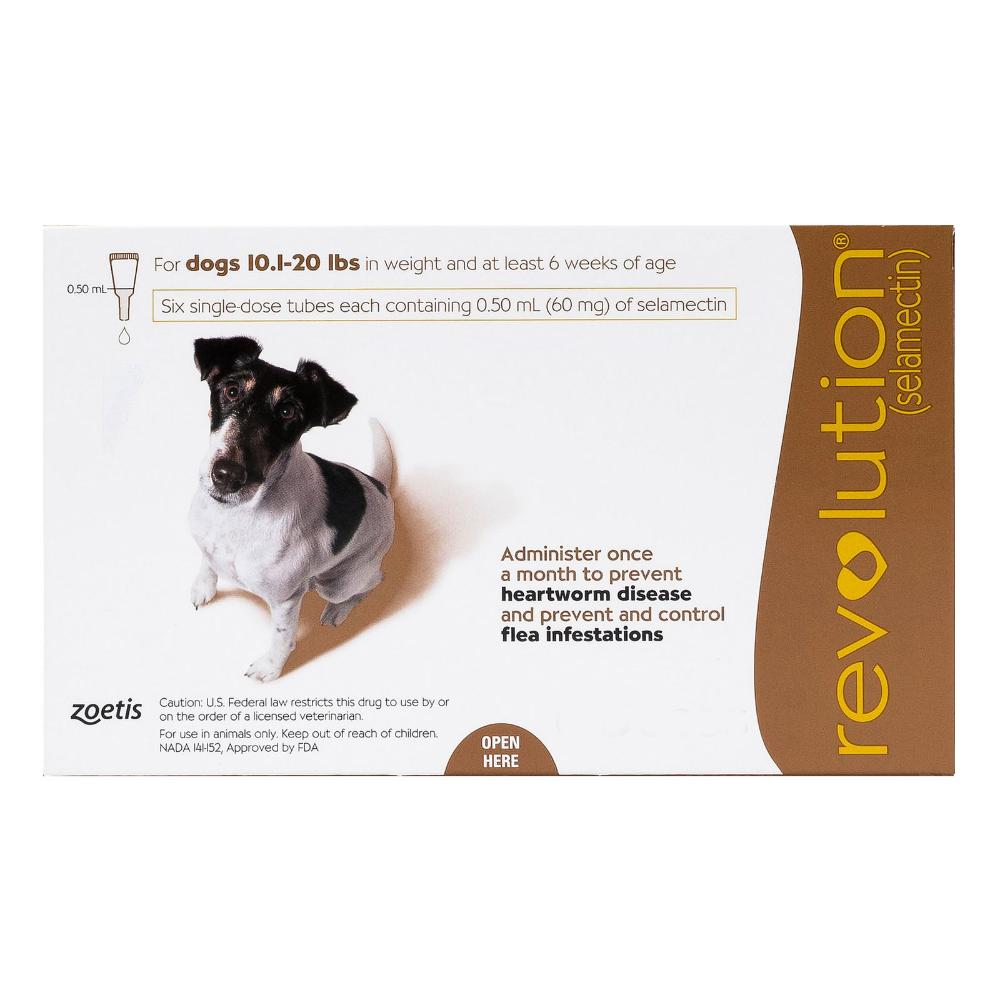 Advantage revolution best sale for dogs