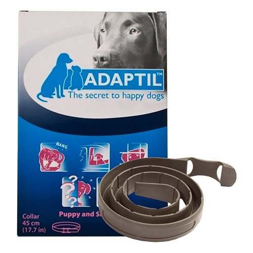 adaptil puppy