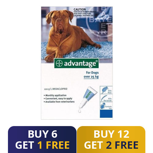 Advantage Extra Large Dogs Over 55 Lbs (Blue) 4 Doses