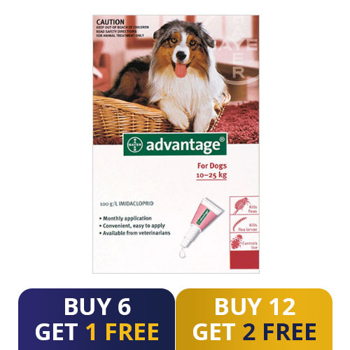 Advantage Large Dogs 21-55lbs (Red) 4 Doses