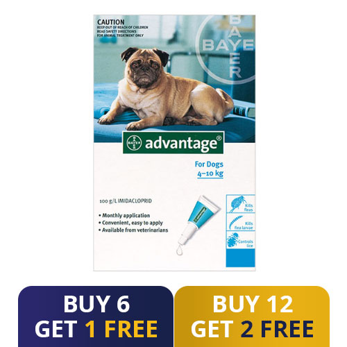 Advantage Medium Dogs 11-20lbs (Aqua) 12 Doses + 2 Free