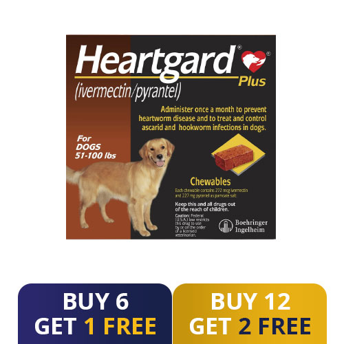 Buy Heartgard Plus Chewables For Large Dog 51-100lbs (Brown) - Free ...