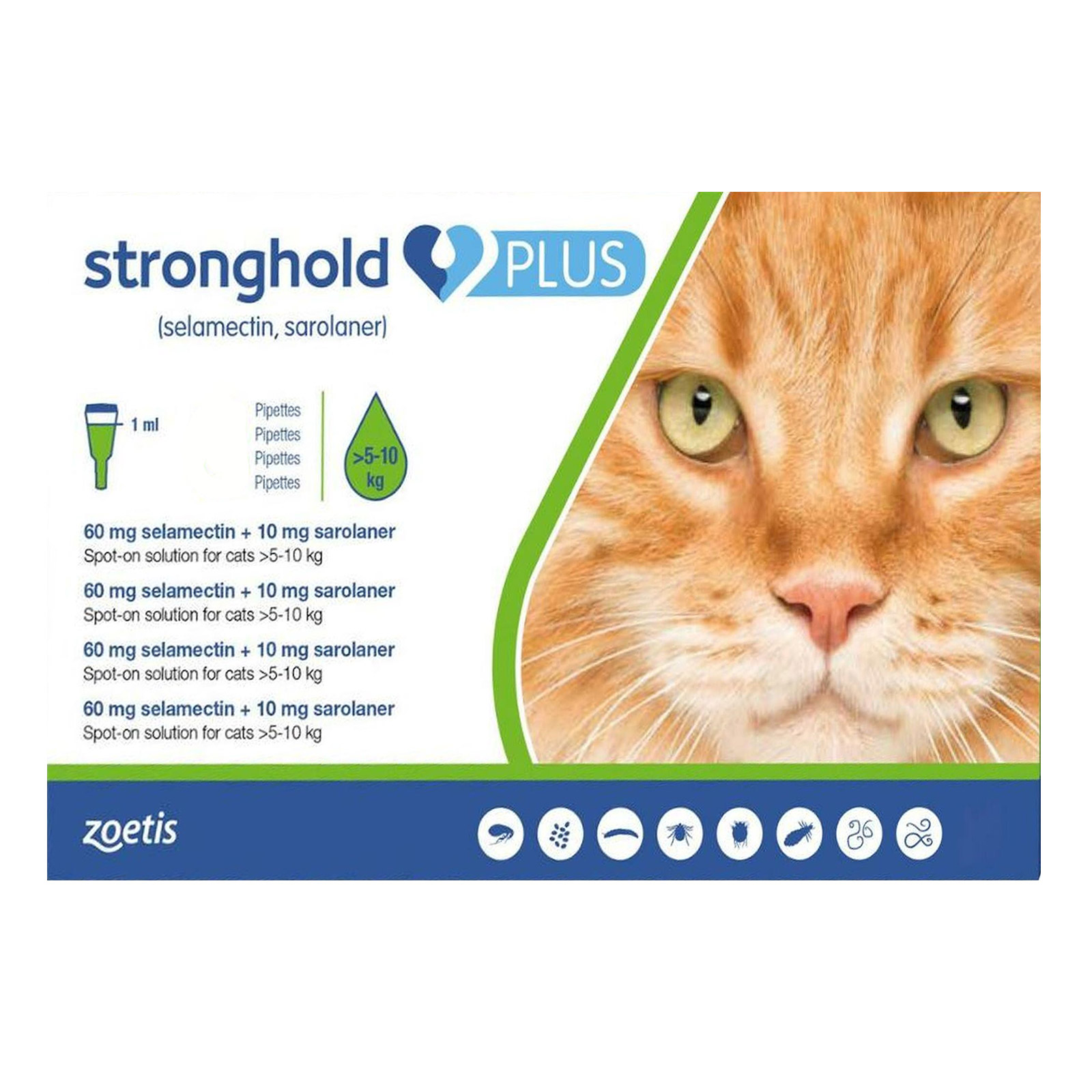 Buy Stronghold Plus For Large Cats 11 24lbs 5 10kg Green 3 Pack Canadapetcare Com