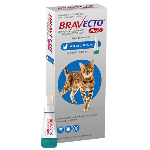 

Bravecto Plus For Medium Cats 250 Mg 6.2 To 13.75 Lbs Blue 2 Doses