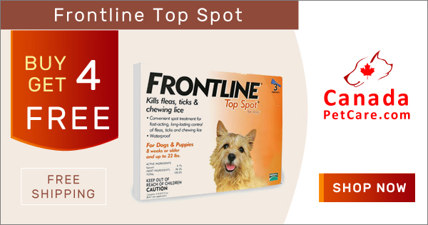 Frontline Top Spot for dogs is a topical treatment for fleas, ticks and chewing lice found in puppies and dogs. Shop Now to Get 4 Doses Free with 4 Months Pack of Frontline Top Spot for Dogs on CanadaPetCare.com + Free Shipping on all orders across USA.
