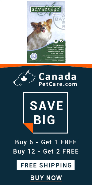 Advantage is a monthly topical treatment for killing and controlling fleas. Buy Now to Get Extra 10% Discount and Free Shipping on All Orders Across USA. Also Avail Free Doses of Advantage with Every Pack.