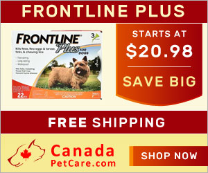 Buy Frontline Plus for Dogs Online at lowest Price with free shipping to all over USA. Frontline Plus is a fast-acting flea and tick preventative, killing all fleas on your dog in 12 hours and stopping infestations for a month.